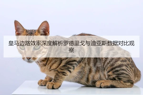 皇马边路效率深度解析罗德里戈与迪亚斯数据对比观察