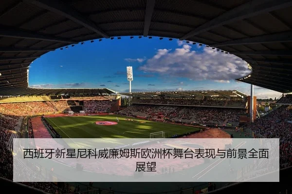 西班牙新星尼科威廉姆斯欧洲杯舞台表现与前景全面展望