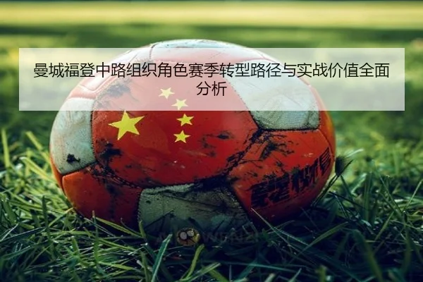 man-cheng-fu-deng-zhong-lu-zu-zhi-jue-se-sai-ji-zhuan-xing-lu-jing-yu-shi-zhan-jia-zhi-quan-mian-fen-xi-2-219.jpg