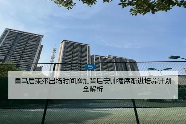 皇马居莱尔出场时间增加背后安帅循序渐进培养计划全解析